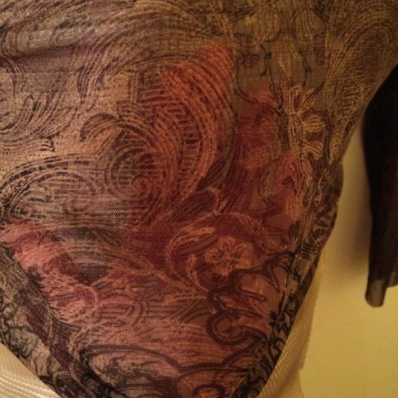 Sheer Long Sleeve Crop Top - Picture 3 of 7